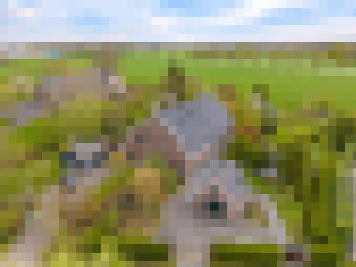 Veenweg 4 Drempt foto 3
