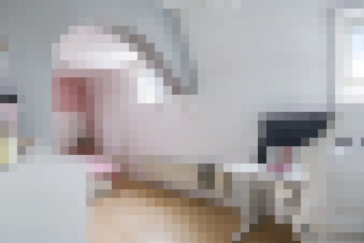 Veenweg 4 Drempt thumbnail 31