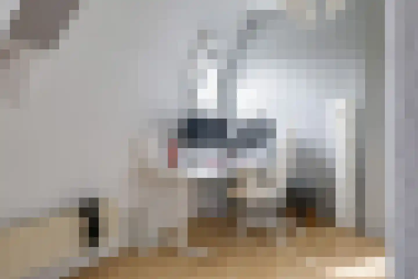 Veenweg 4 Drempt thumbnail 33