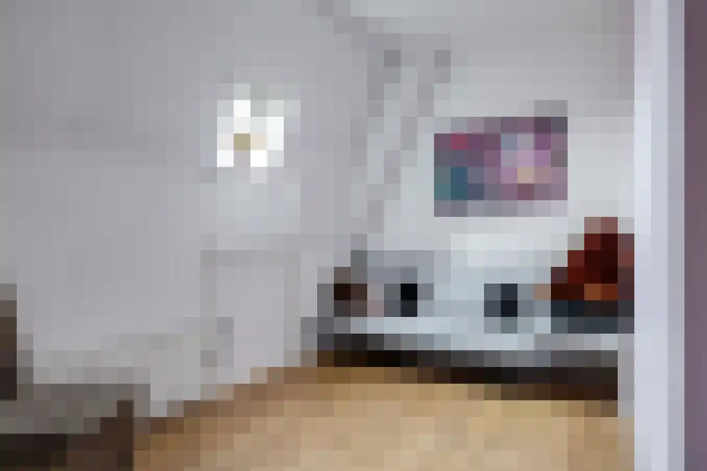 Veenweg 4 Drempt thumbnail 34