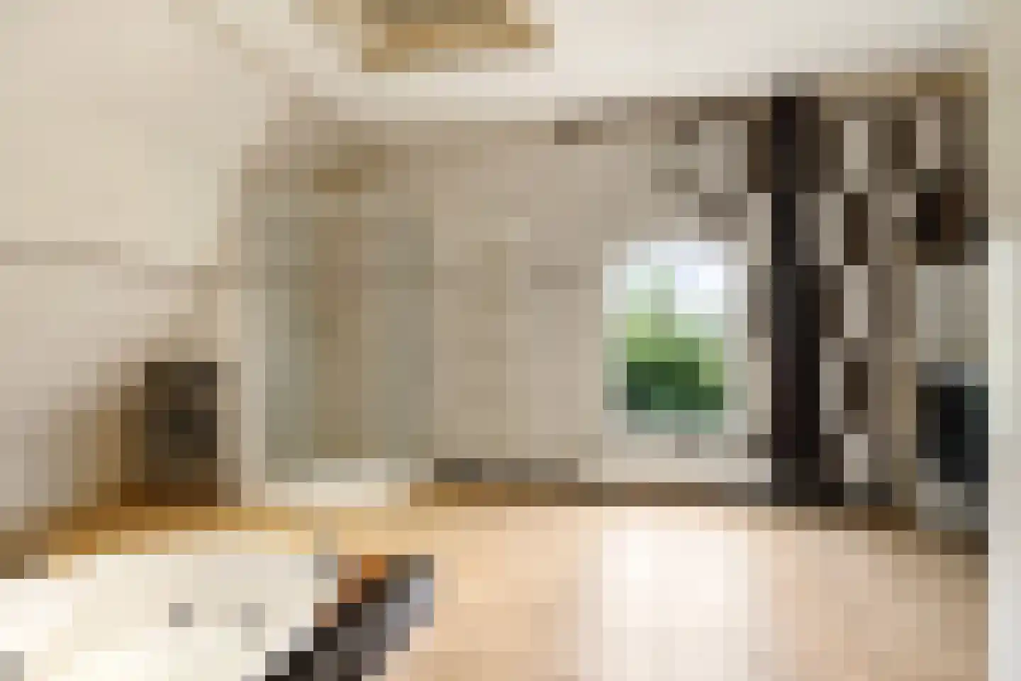 Veenweg 4 Drempt thumbnail 35