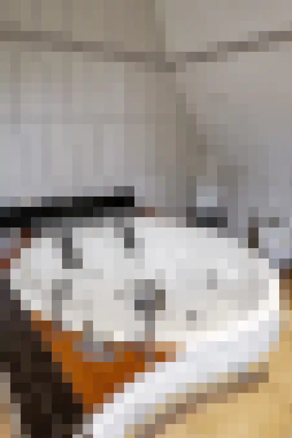 Veenweg 4 Drempt thumbnail 37