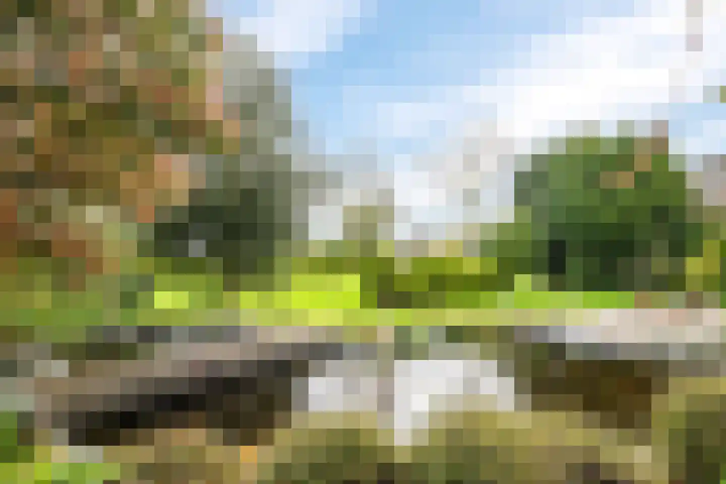 Veenweg 4 Drempt thumbnail 41