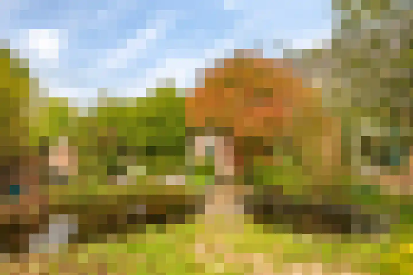 Veenweg 4 Drempt thumbnail 42