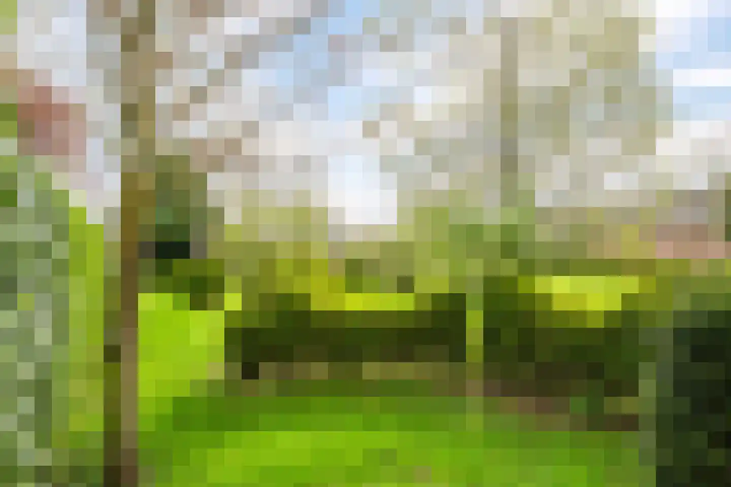 Veenweg 4 Drempt thumbnail 43