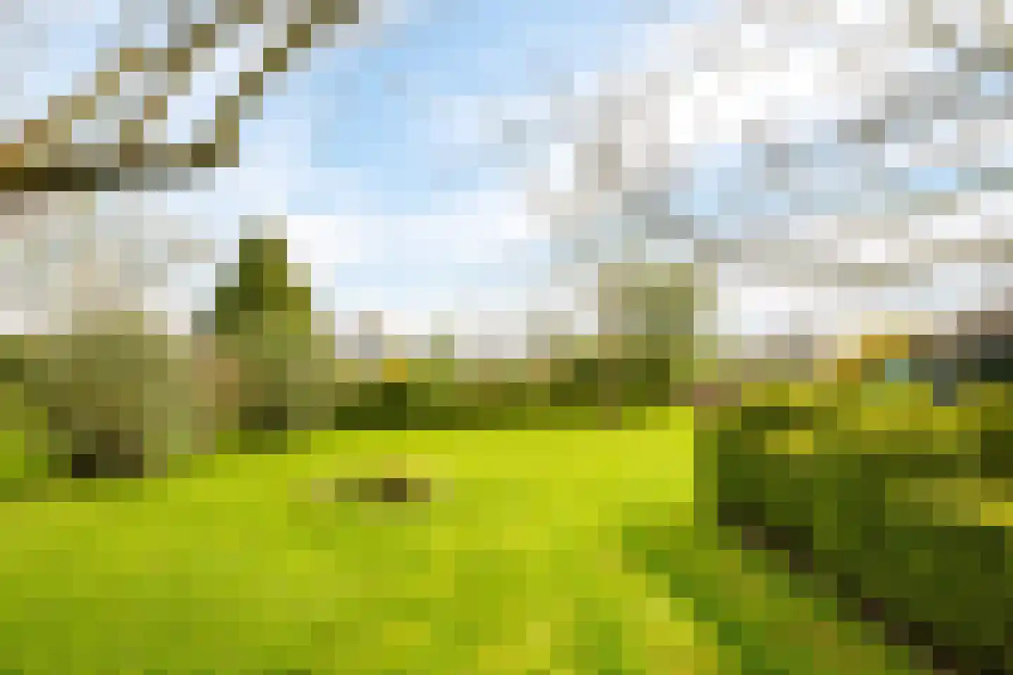 Veenweg 4 Drempt thumbnail 44