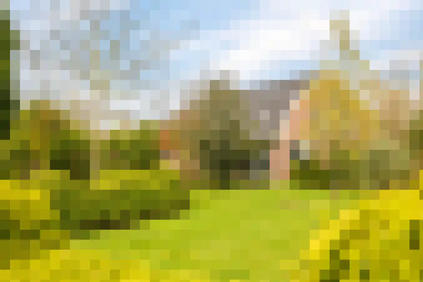 Veenweg 4 Drempt thumbnail 45