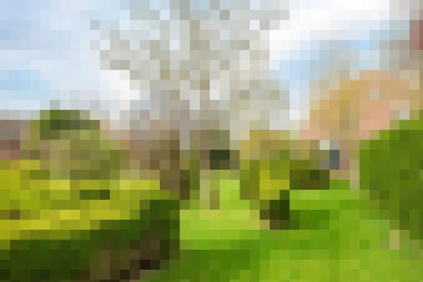 Veenweg 4 Drempt thumbnail 46