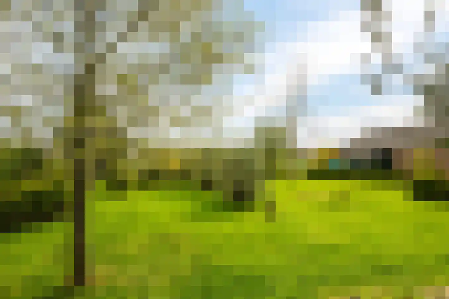 Veenweg 4 Drempt thumbnail 48