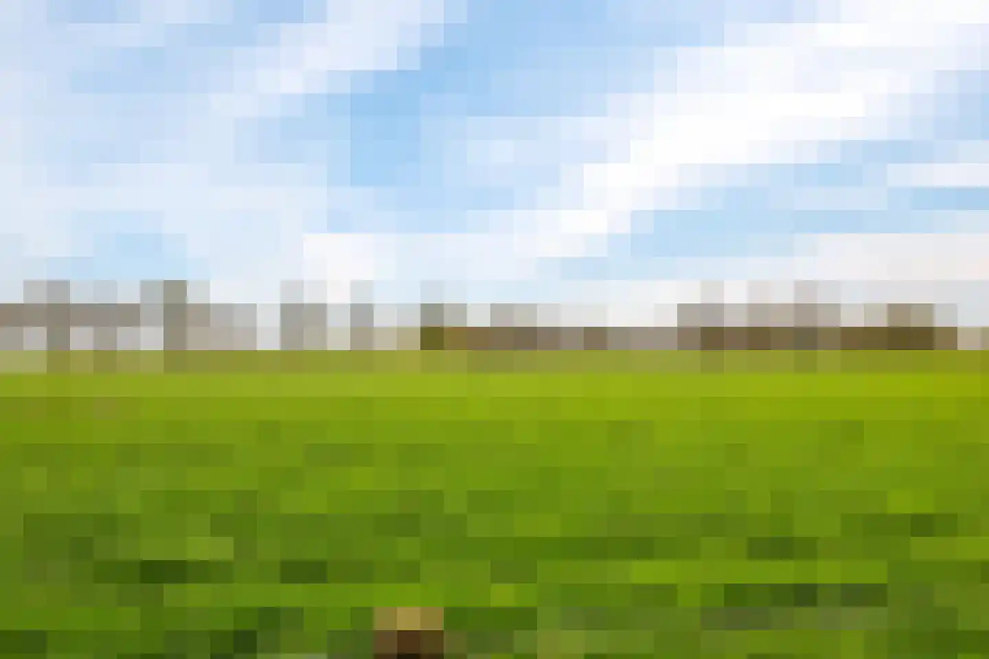Veenweg 4 Drempt thumbnail 50