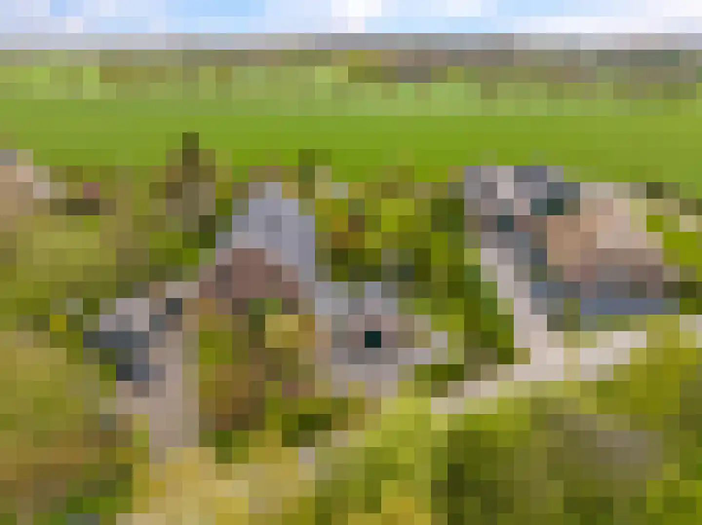 Veenweg 4 Drempt thumbnail 57