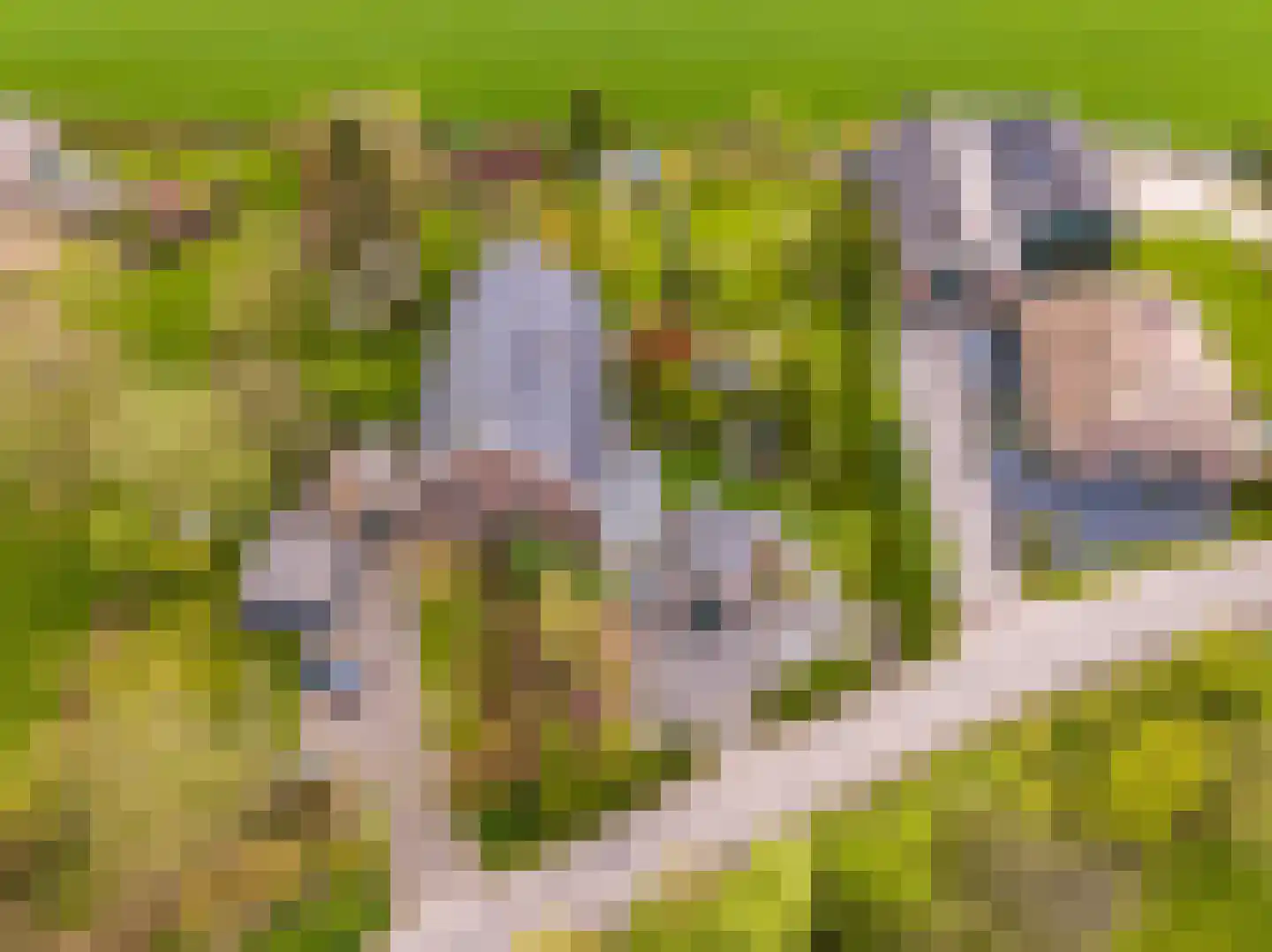 Veenweg 4 Drempt thumbnail 58
