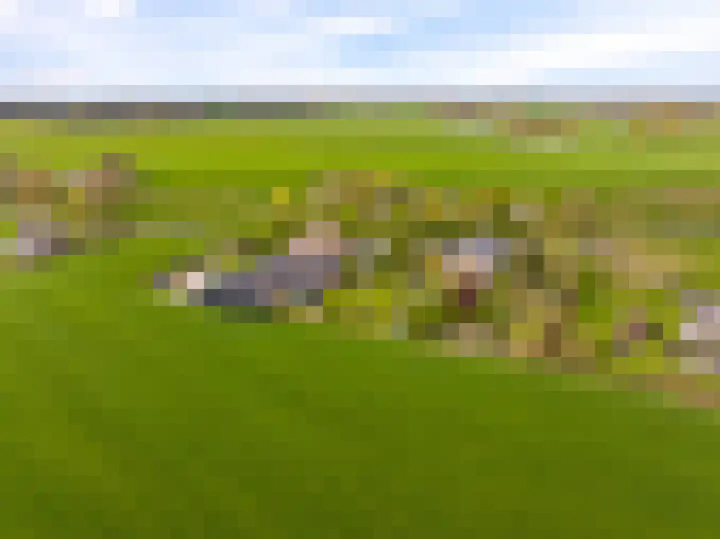 Veenweg 4 Drempt thumbnail 59