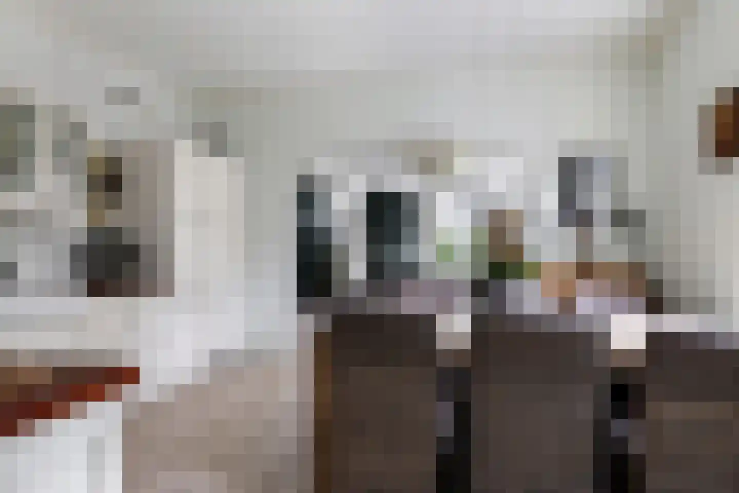 Veenweg 4 Drempt thumbnail 8