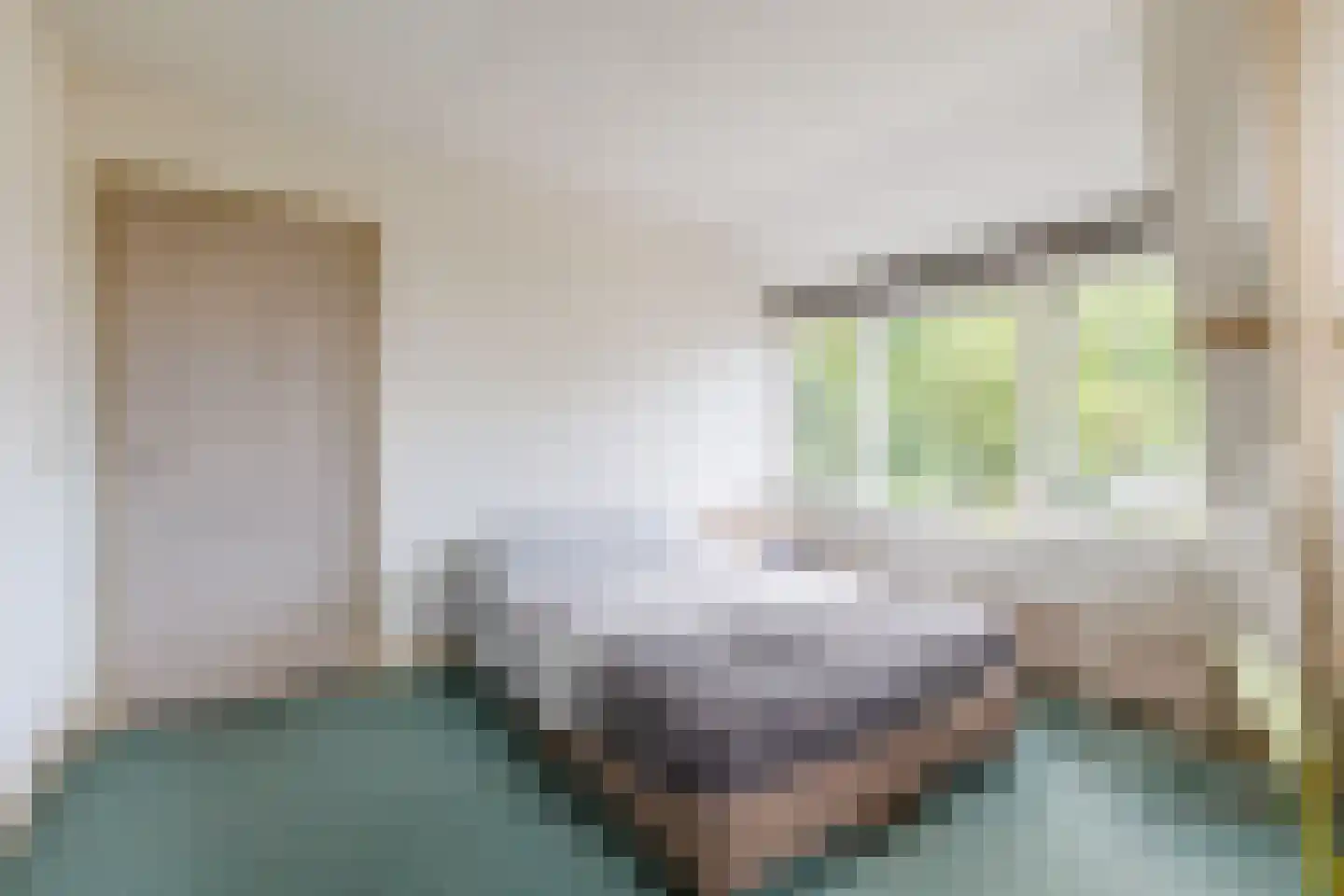 Veenweg 4 Vaassen thumbnail 23