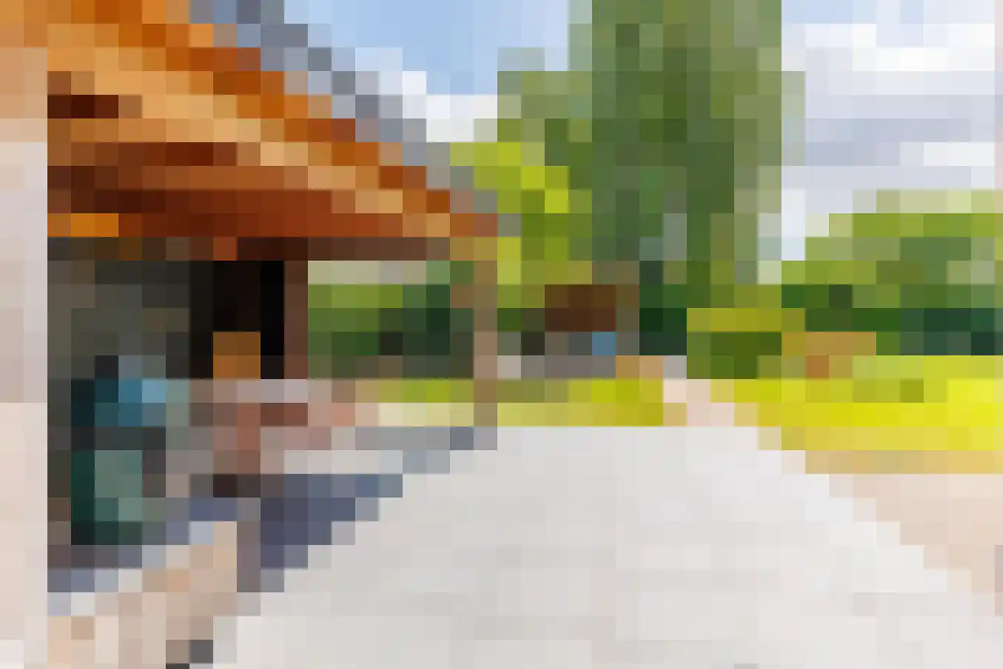 Veenweg 4 Vaassen thumbnail 29