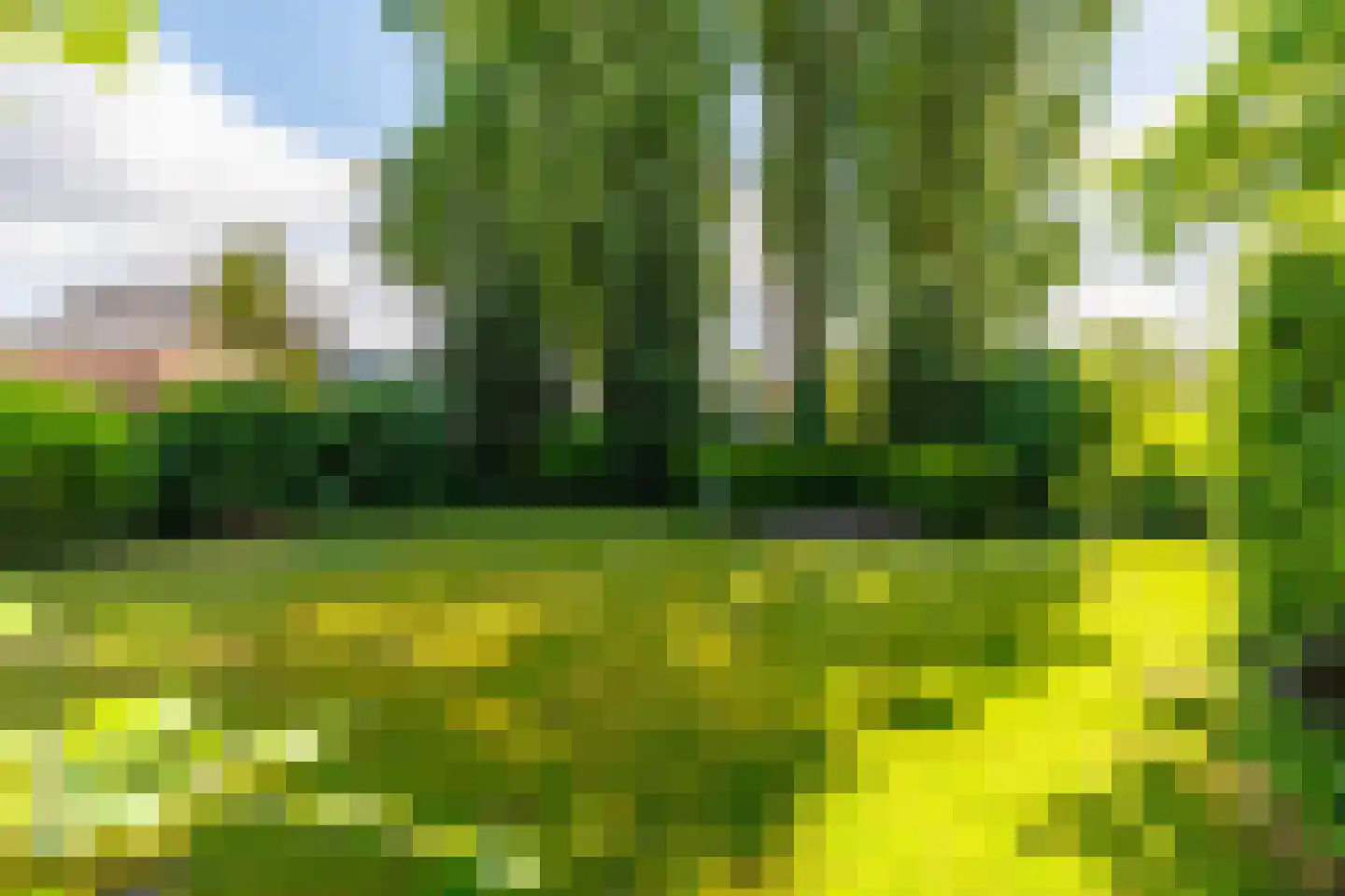 Veenweg 4 Vaassen thumbnail 34