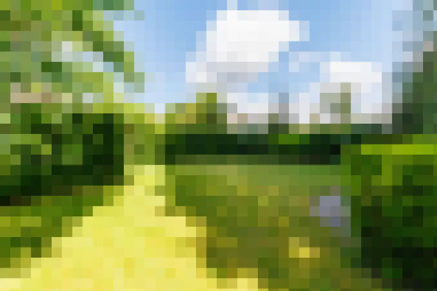 Veenweg 4 Vaassen thumbnail 35