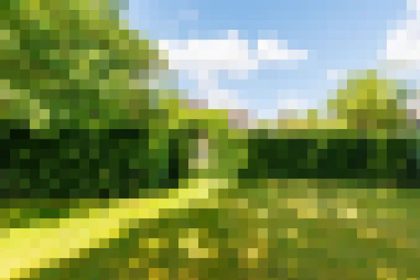 Veenweg 4 Vaassen thumbnail 36