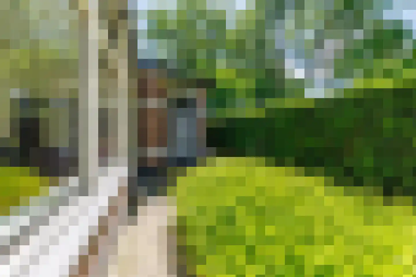 Veenweg 4 Vaassen thumbnail 40