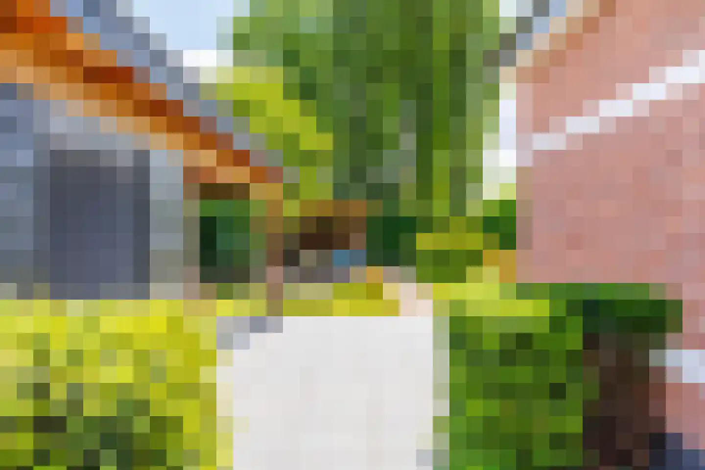 Veenweg 4 Vaassen thumbnail 42