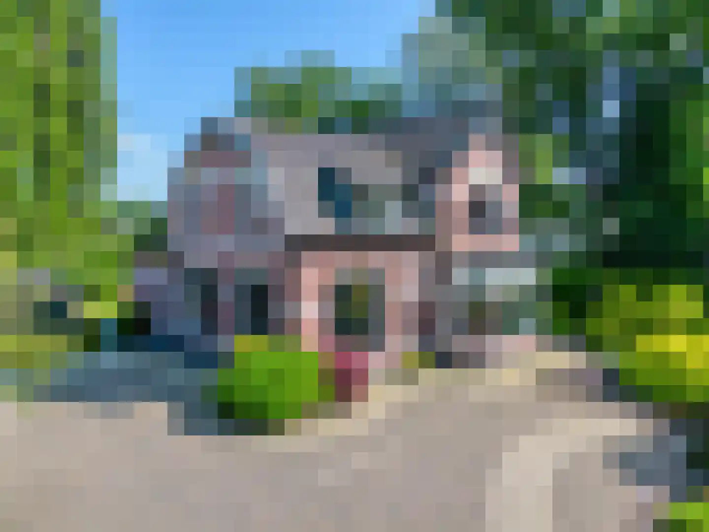 Veenweg 4 Vaassen thumbnail 43