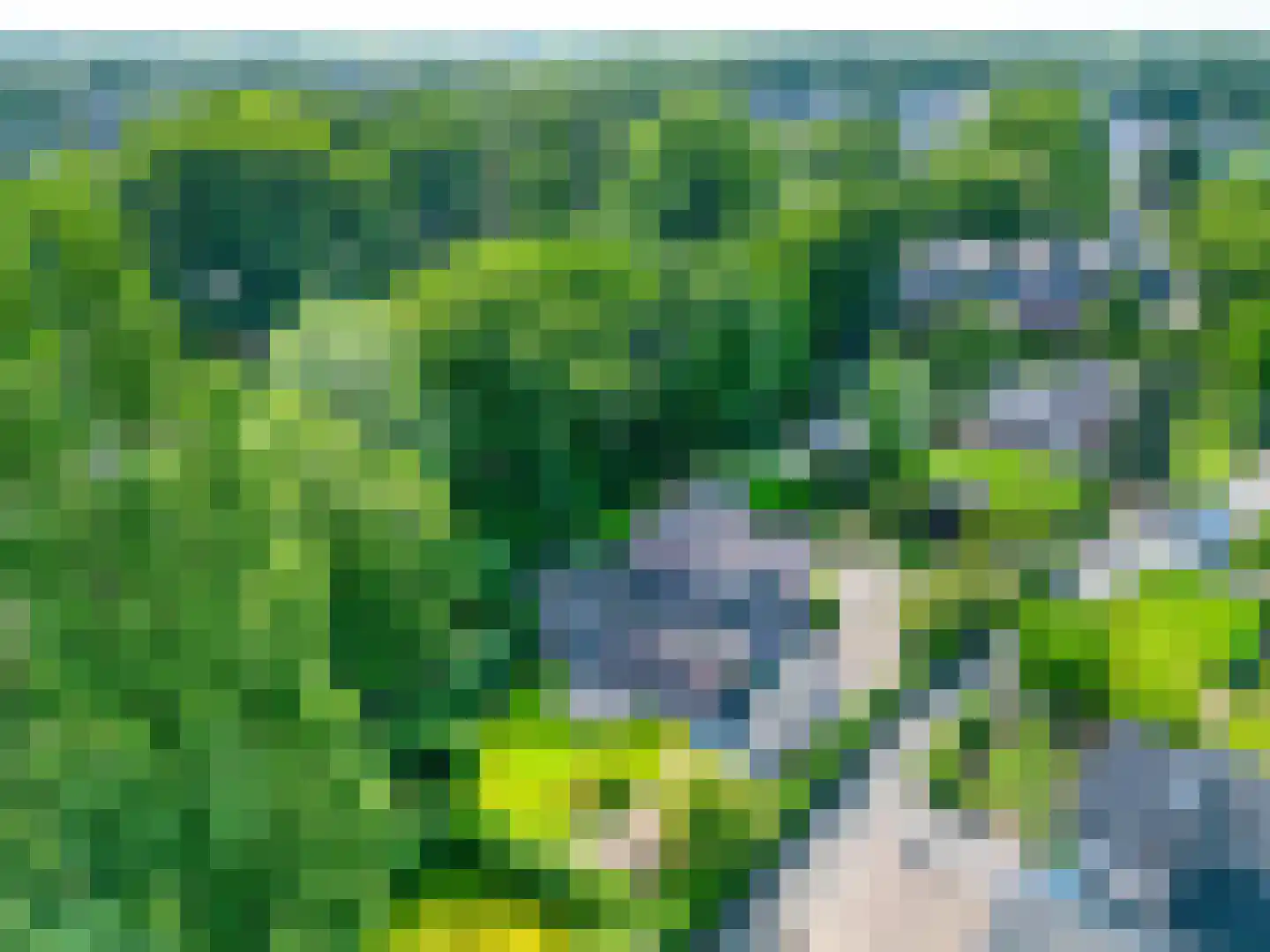 Veenweg 4 Vaassen thumbnail 44