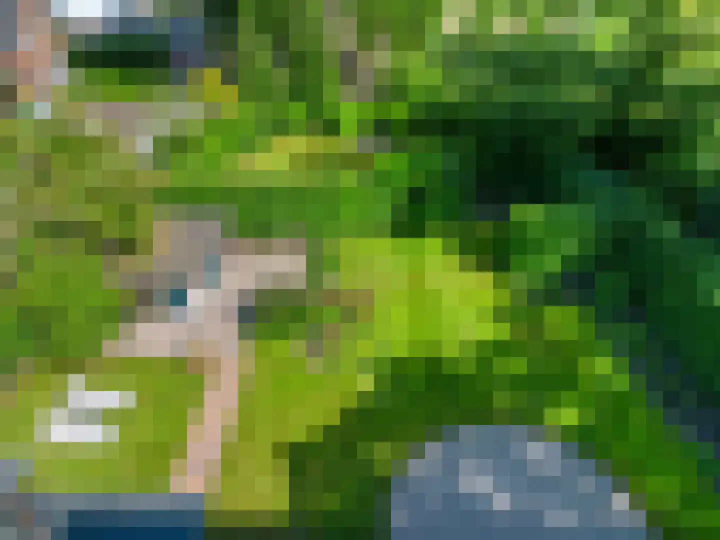 Veenweg 4 Vaassen thumbnail 46