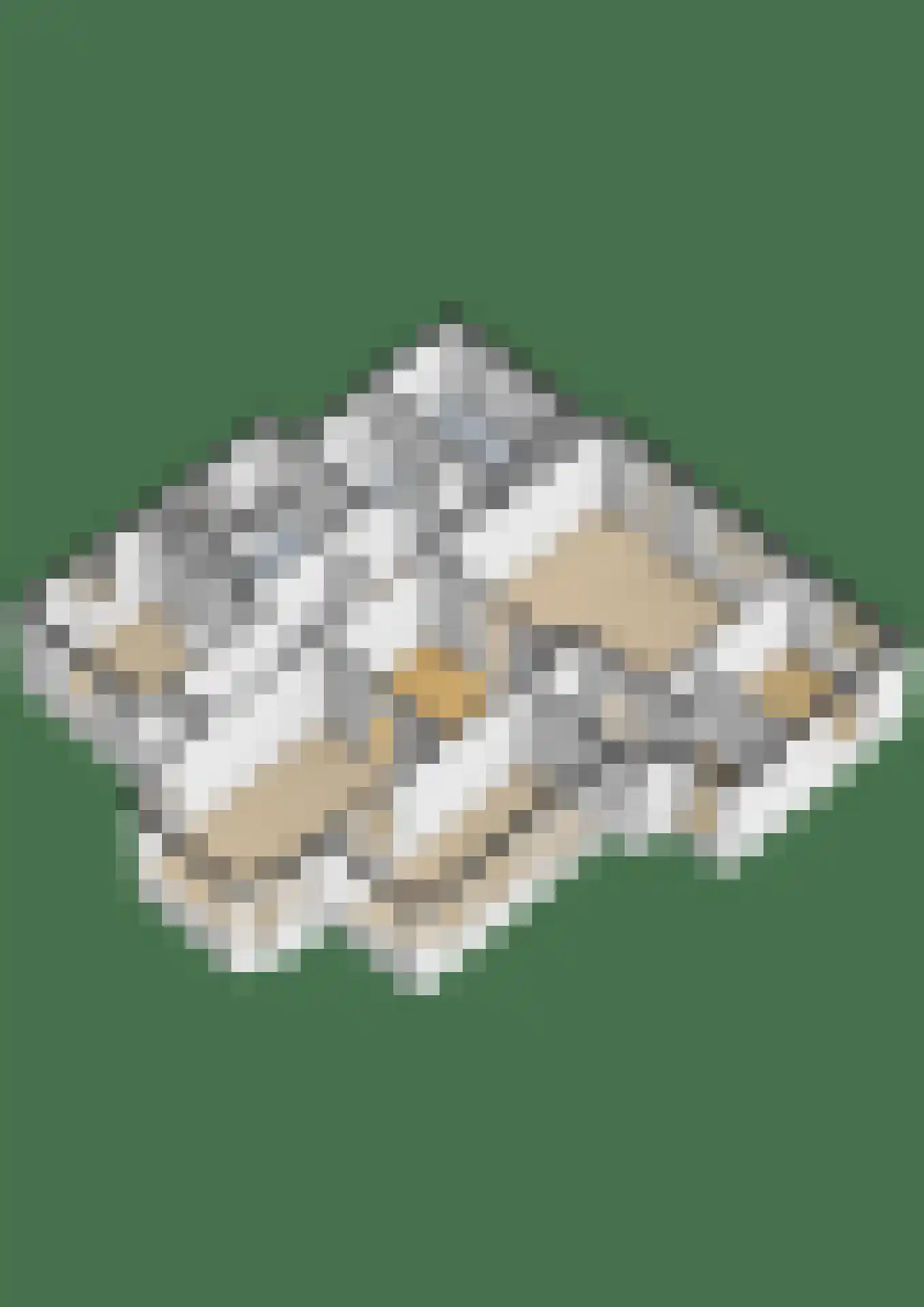Veenweg 4 Vaassen thumbnail 51