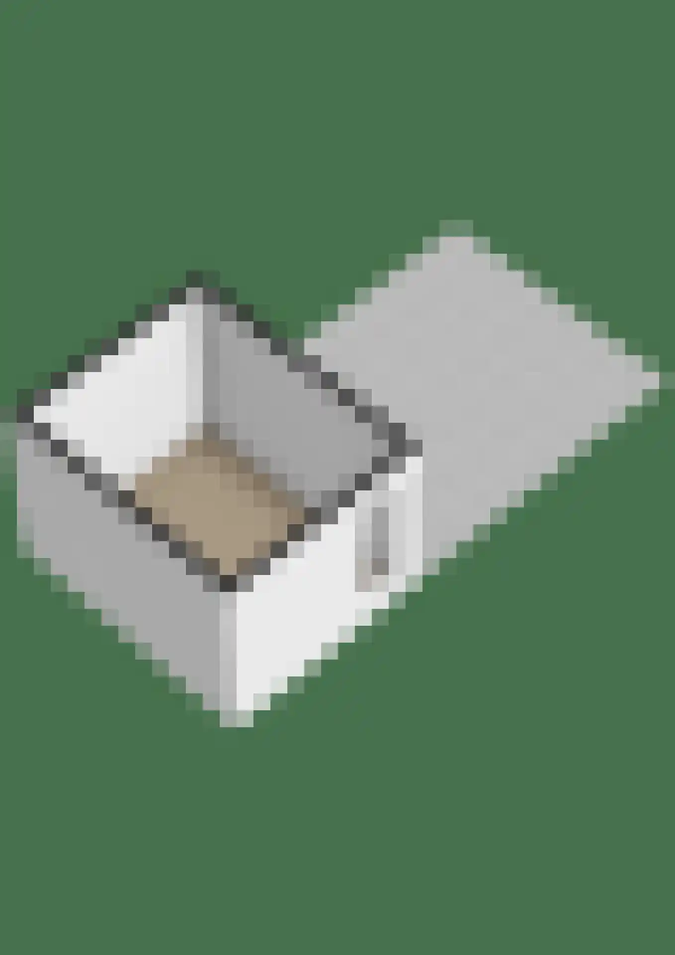 Veenweg 4 Vaassen thumbnail 59