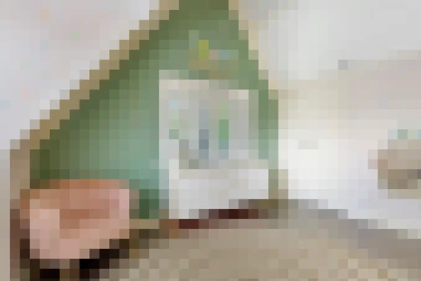 Veenweg 42 Lunteren thumbnail 29