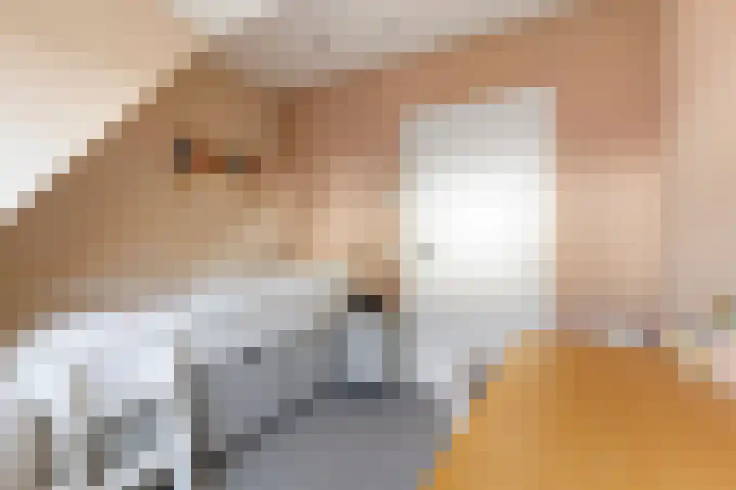 Veenweg 42 Lunteren thumbnail 34