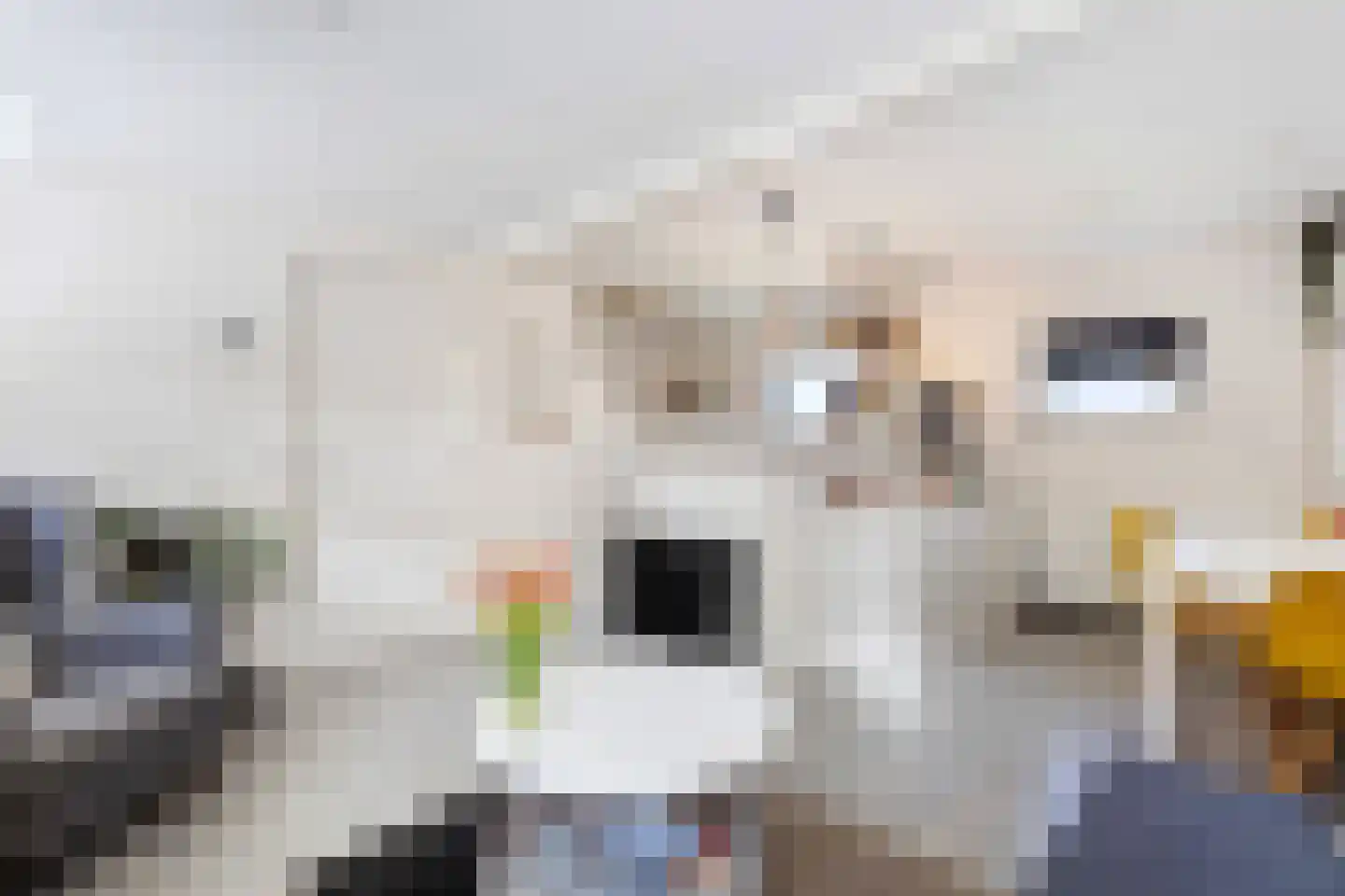 Veenweg 42 Lunteren thumbnail 47