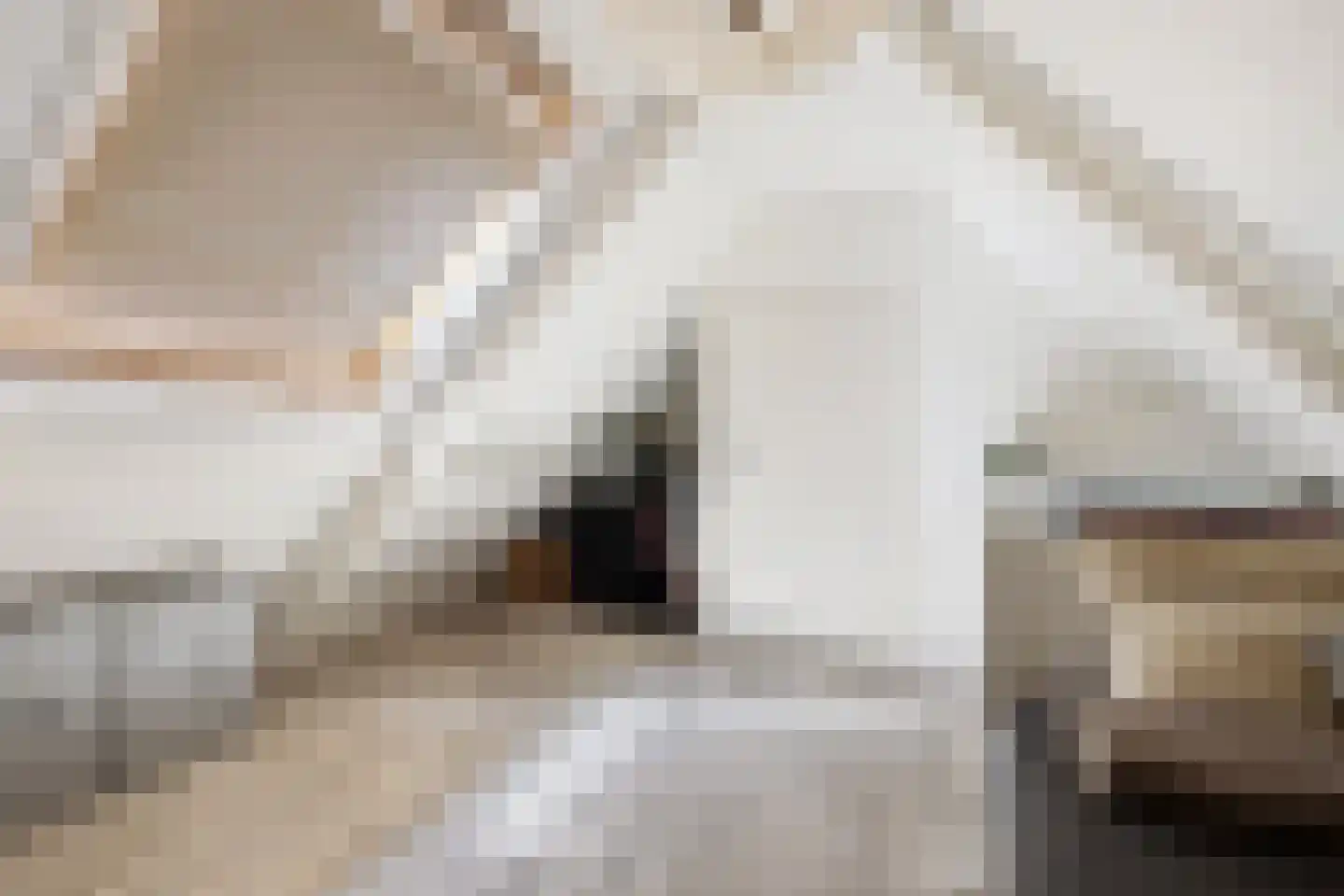Veenweg 42 Lunteren thumbnail 53