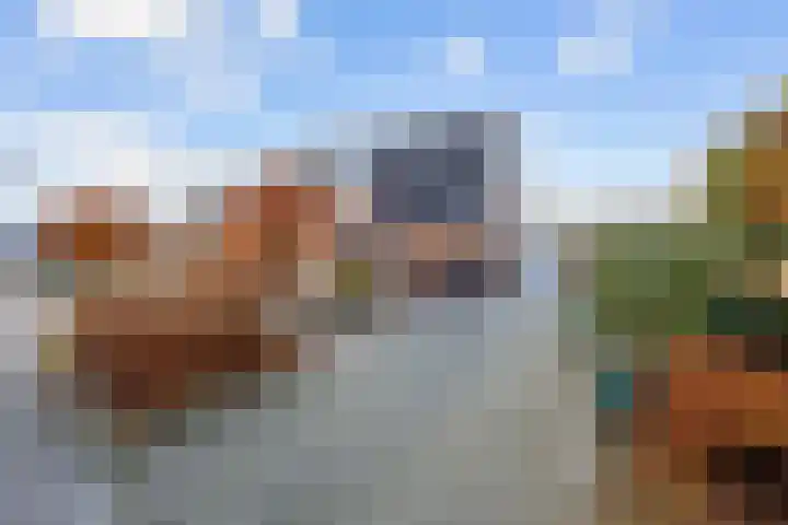 Veenweg 43 De Wilp thumbnail 12