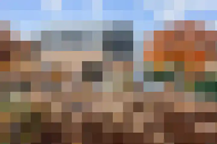 Veenweg 43 De Wilp thumbnail 13