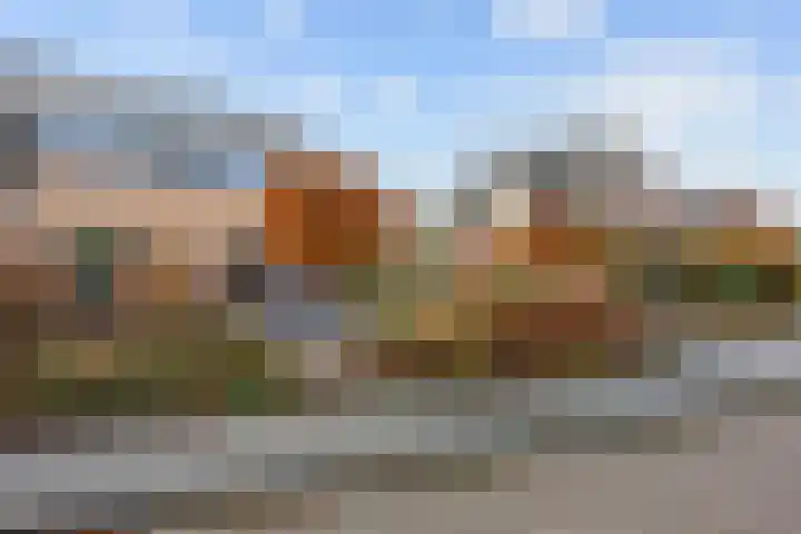 Veenweg 43 De Wilp thumbnail 14