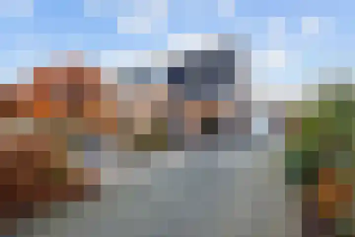 Veenweg 43 De Wilp thumbnail 15