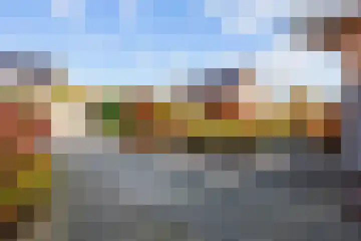 Veenweg 43 De Wilp thumbnail 18