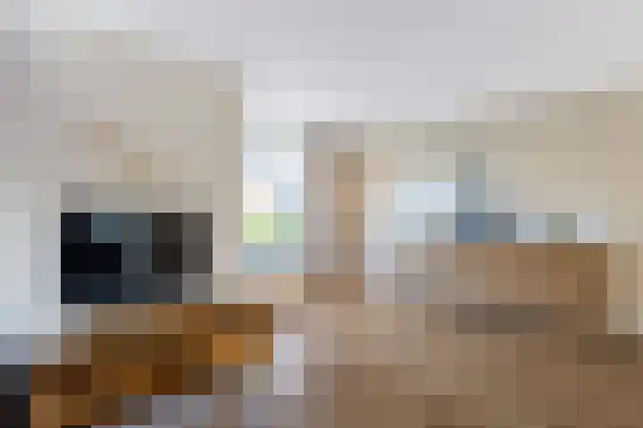 Veenweg 43 De Wilp thumbnail 27