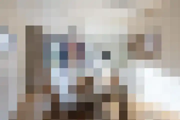 Veenweg 43 De Wilp thumbnail 30
