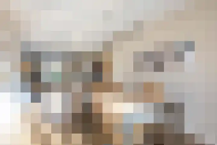 Veenweg 43 De Wilp thumbnail 36