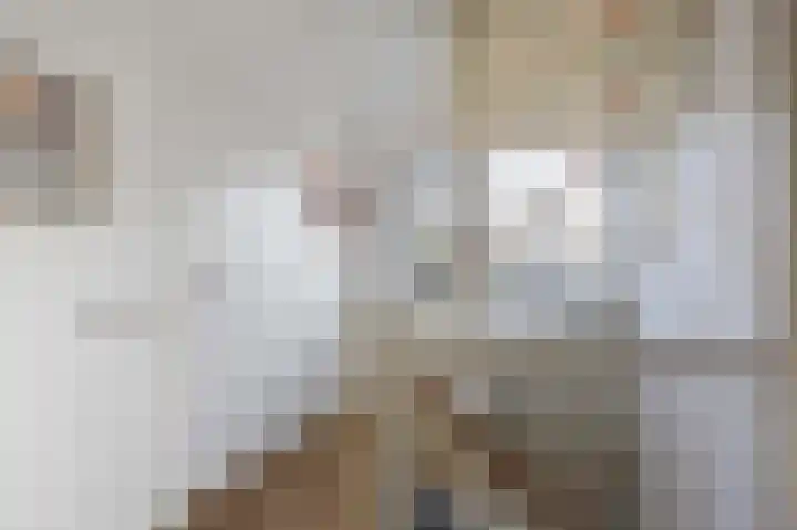 Veenweg 43 De Wilp thumbnail 41