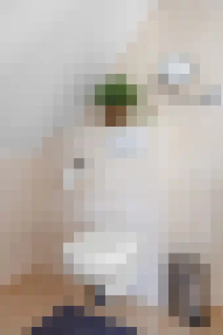 Veenweg 43 De Wilp thumbnail 46