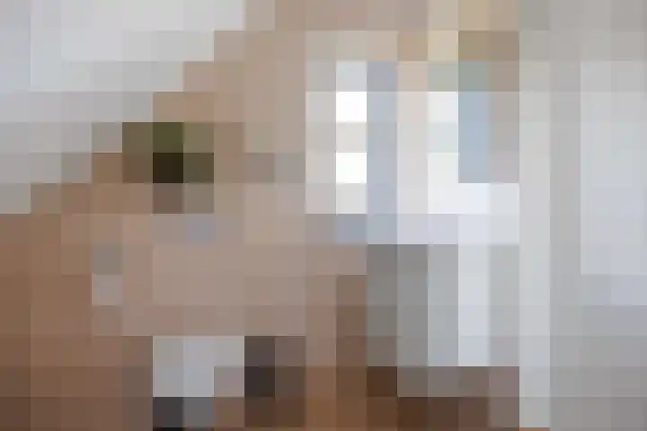 Veenweg 43 De Wilp thumbnail 47