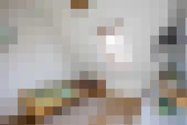 Veenweg 43 De Wilp thumbnail 48