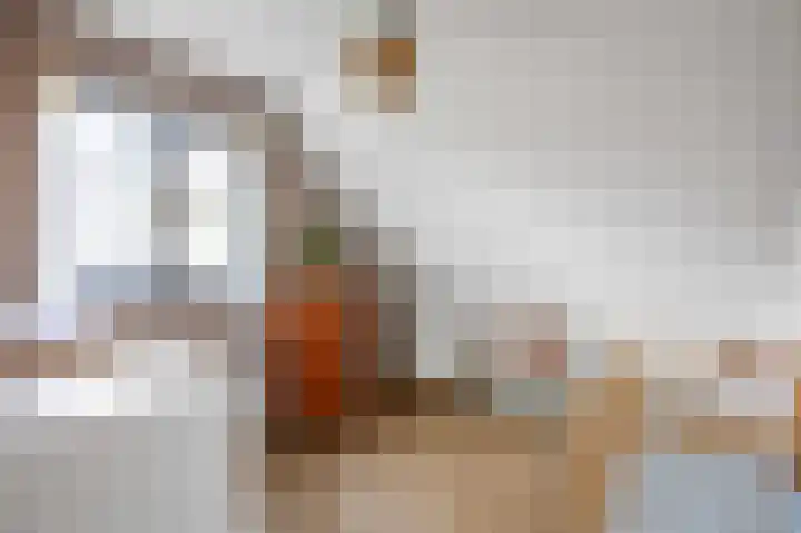 Veenweg 43 De Wilp thumbnail 52