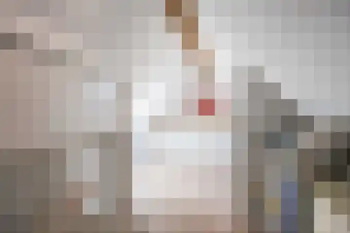 Veenweg 43 De Wilp thumbnail 54
