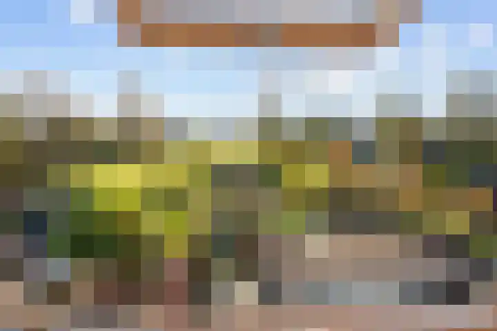 Veenweg 43 De Wilp thumbnail 57