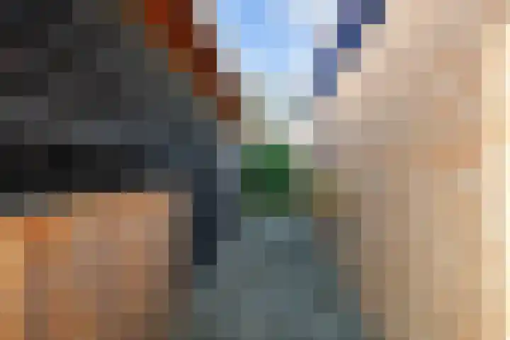 Veenweg 43 De Wilp thumbnail 58